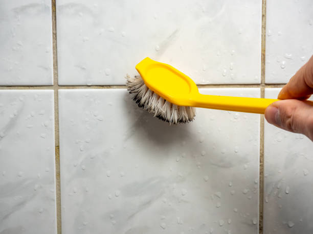  Mackinaw, IL Mold Removal Pros