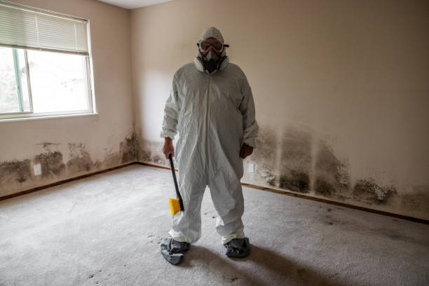 Best Bathroom Mold Remediation in Mackinaw, IL